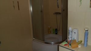 006SAM_3380