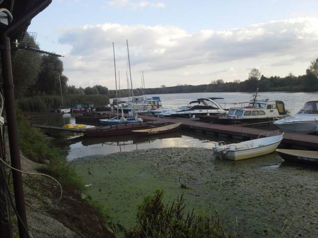 Port-uraz7